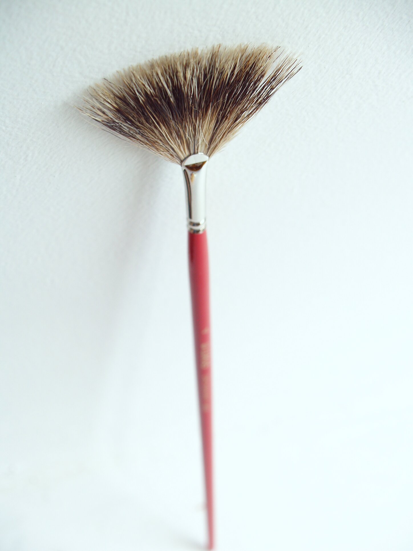 cūku saru vēdekļa ota